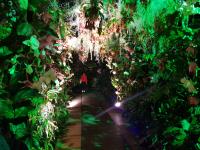 Albums/20200303-Kew Gardens/26